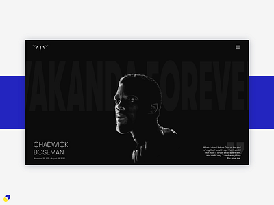 RIP Chadwick black panther chadwick chadwick boseman design thedsgnsam ui ux wakanda web