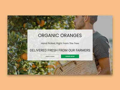 Daily UI 003 - Landing page beginner dailyui dailyui 003 dailyuichallenge design fooddelivery landing page minimal orange uiux ux uxdesign webshop