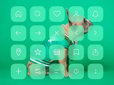 Essentials Icon Set clean design flat icon icon design iconography icons icons set illustration minimal ui vector