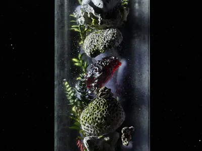 TERRA 3d art c4d cinema4d cosmos illustration keyvisual octane product space