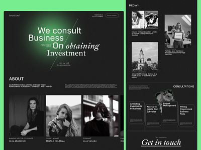 Investitii Moldova black black white business chishinau consulting dark mode dark theme digital agency green investment landing moldova order puree digital site startup ui ux web website