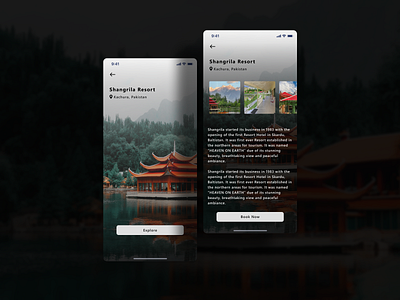 Hotel App Info Screens beautiful clean ui destination hotel imagery info place places ui ux ui ux user uiux ux