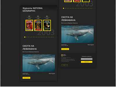 NATIONAL GEOGRAPHIC РОССИЯ animals bears design interaction nature ui uiux web webdesig wild