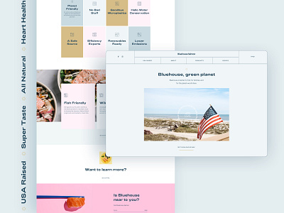 Bluehouse Salmon adchitects american flag colors florida food healthy food icons salmon sketch sushi ui design ux design