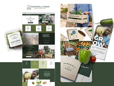 Hopewell Farms Branding & Web Design branding design farm farm logo graphic design healthy food logo logo design print collateral web design