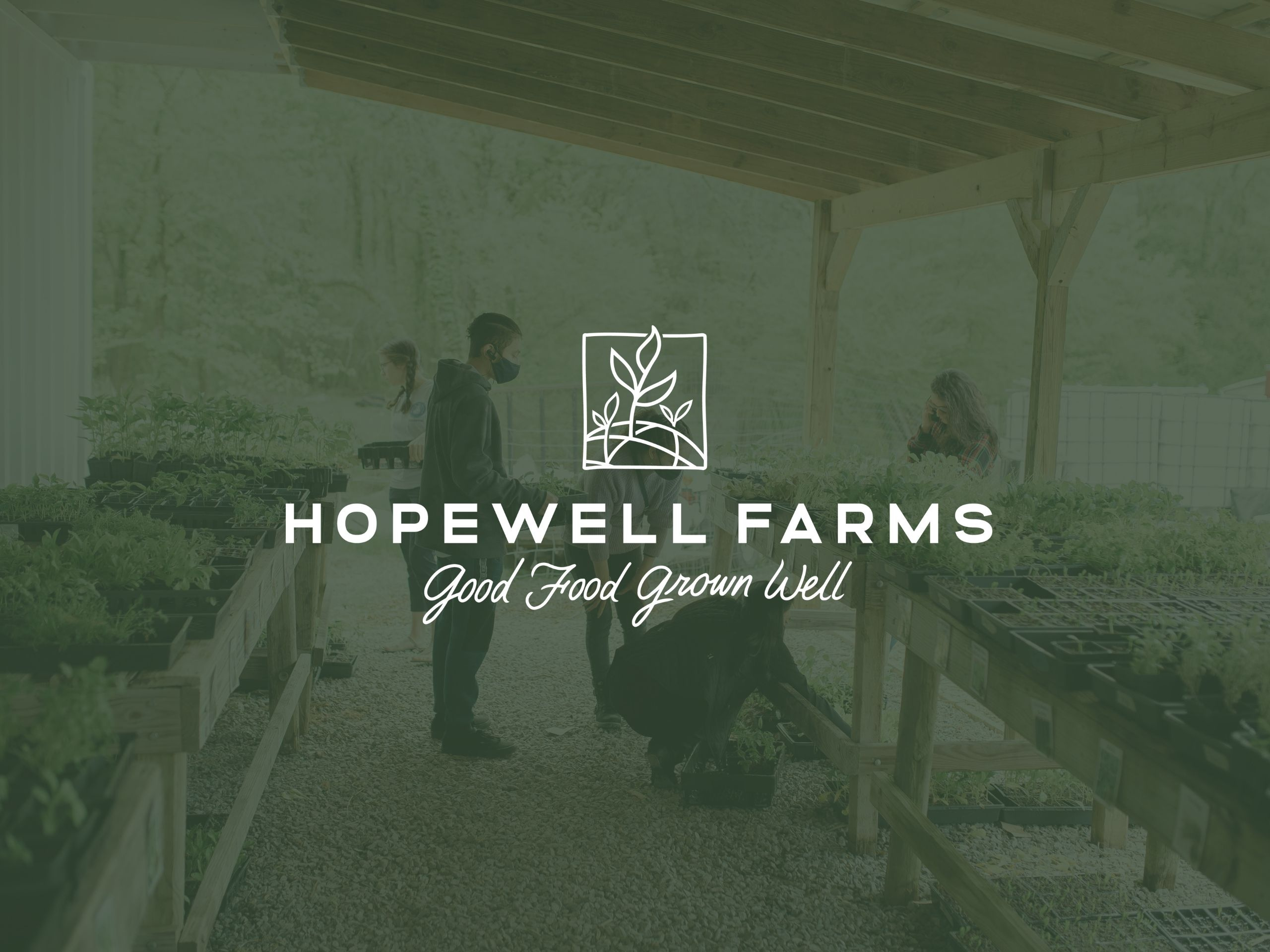 Hopewell Farms Branding &  Design by