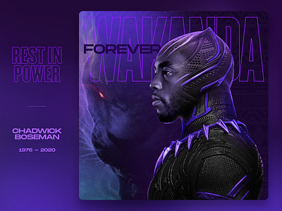 Rest in Power Chadwick Boseman black panther chadwick boseman king of wakanda marvel rest in peace rest in power wakanda