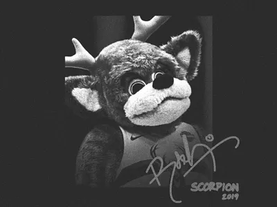 Scorpion Bango - 2019 Bucks Promo branding bucks collab concept design graphic design marketing promo teaser