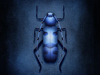 Rosalia Alpina Bug bug bugs design illustraion illustration illustrator noise noise shadow series shadow