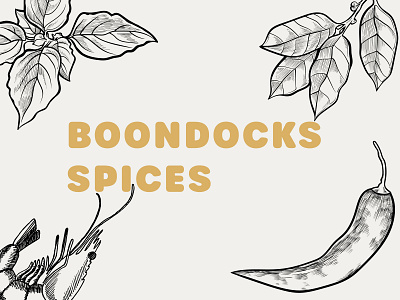 Boondocks Spices - Branding branding logo spices