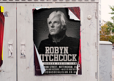 Robyn Hitchcock creative design designer dweet design europe flyer identity poster poster design