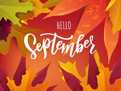 Hello, September! autumn fall hello leaves lettering september