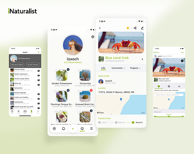 iNaturalist Redesign Concept concept figma figmadesign inspiration interface ios minimalism product design profile redesign ui ux