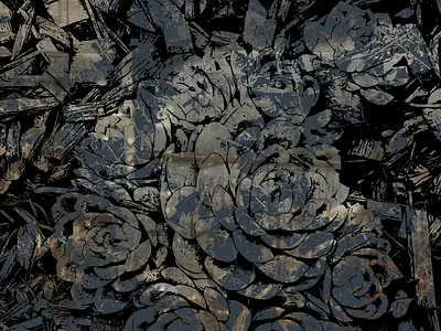 Nature Shines black gray vector vector art