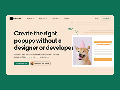 Homepage 2020 animal animation branding design figma hero section motion popup popup design ui ux web website