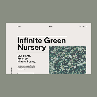 Nursery Landing page design nursery plant ui ux webdesign