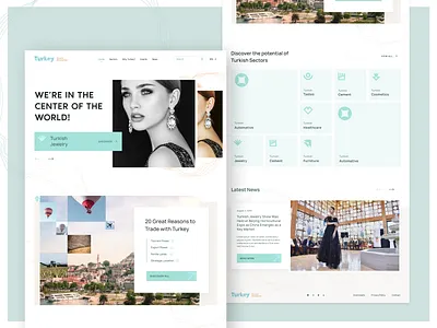 DPT-Turkey website agency branding design flat minimal typography ui ux web website world