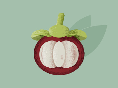 Mangosteen 2d 2d art adobe illustrator design art designdaily flat flat illustration fruit fruit illustration fruits graphics illustration illustration design mangosteen textures vector