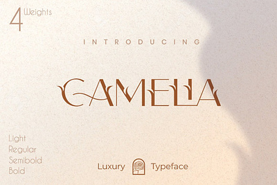 Camelia Sans - Unique Typeface branding calligraphy design elegant fonts font design fonts collection lettering logo modern calligraphy modern fonts sans serif sans serif font serif serif font serif fonts typeface typography unique unique design unique logo