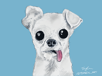 Chihuahua chihuahua design digital art digital painting dog dog illustration illustration pets portrait portrait art procreate procreateapp