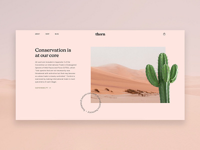 thorn | 03 cactus ecommerce homepage layout nature page layout plant plants shopping store sustainability type typography ui uidesign uiux web web design website