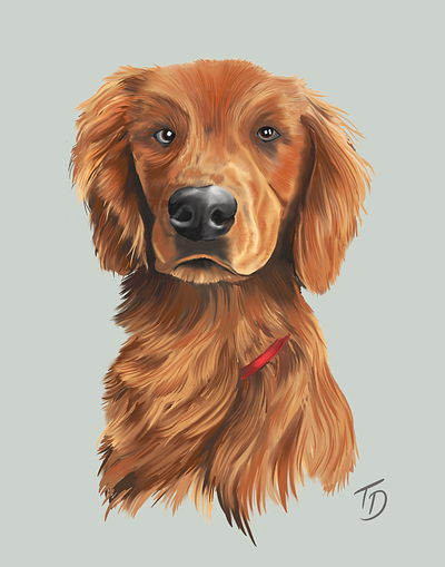 Bucky design digital art digital painting dog dog illustration dogs illustration pets portrait portrait art procreate procreateapp