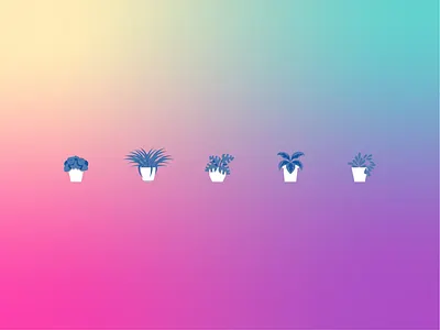 So They Grow gradient icon illustration monstera plant spider plant succulent vector