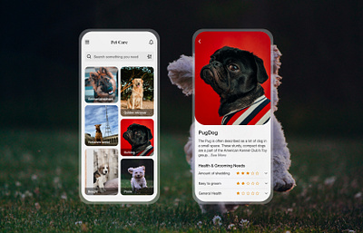 Pet Care app design ui ux