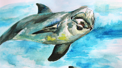 Dolphin Detail Illustration creativity design detail dolphin dolphin logo gouache graphicdesign illustration markmaking narrative ocean paintbrush photography sea shadow texture watercolor watercolour illustration wildlife