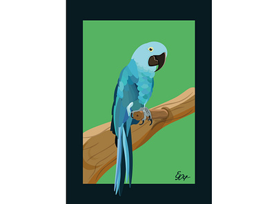 Parrot animal bird card graphic illustration illustration art illustrations illustrator parrot vector