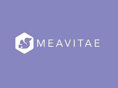 Logo for Meavitae brand colors logo