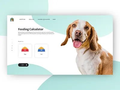 Feeding Calculator adobe xd design pets ui webdesign
