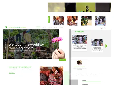 NGO website design landing page website landing