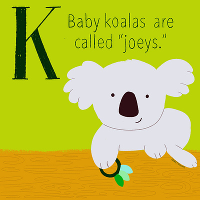 Koala baby animals childrens book childrens illustration cute illustration digitalart illustration koala