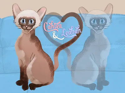 Cahtea & Leabah Close Up cat character design children book illustration couch design digital painting gouache illustration pencil photoshop