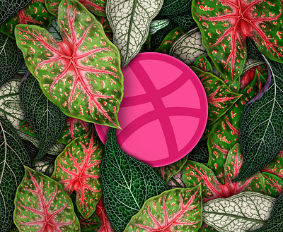 Jungle Dribbble collage design dribbble dribble hello dribbble jungle leaf leafs photoshop urban jungle