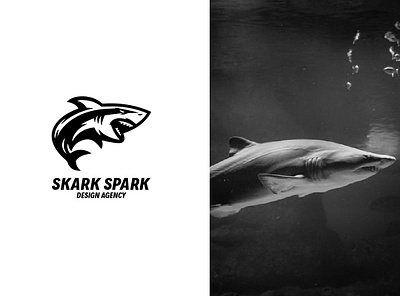 Shark Spark branding design fiverrgigs icon illustraion illustration logo twitch overlay typography ux