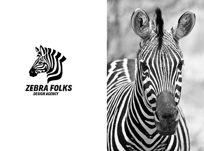 Zebra Logo app branding gaminglogo illustraion illustration layoutdesign logo mascot design twitch overlay typography web