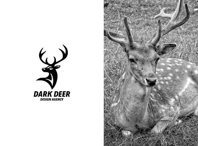 Dark Deer branding gaminglogo illustraion illustration layoutdesign logo mascot design twitch overlay typography ui