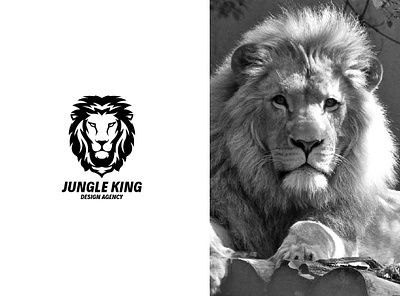 Jungle King box design branding design fiverrgigs gaminglogo illustration layoutdesign twitch overlay typography vector