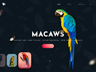 Birds Landing birds branding design flat landingpage minimal ui web website