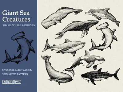 Hand Drawn Giant Sea Animal animal animal logo animals artwork big fish dolphin drawing fish hand drawn illustraion illustration pointillism shark stipple undersea underwater vector whale