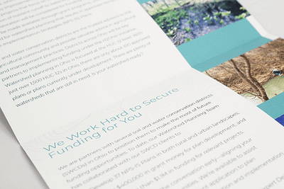 triple cool triple fold | tri-fold mailer branding layout mailer photo editing print trifold typography