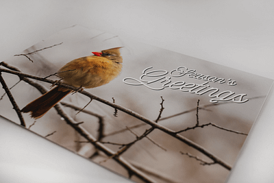 put a bird on it | corporate holiday card design photo editing print typography