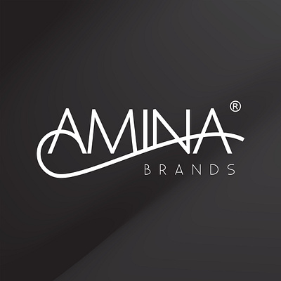 Amina Logo branding identity logo logotype