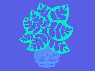 House Plant adorable color exploration colorful cute design digital illustration drawing house plant illustration ipad pro ipadpro leaf pattern peacock plant illustration plants texture
