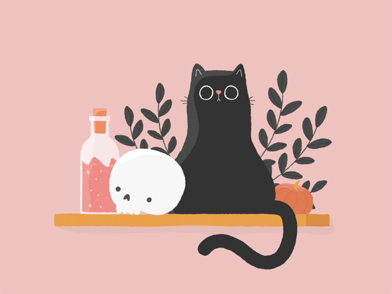 Spooky Cat animation autumn black cat bottle cat design gif halloween illustration illustrator plants potion pumpkin skull spooky texture vector witch witchy