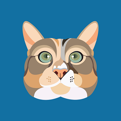 Cat Illustration design flat illustration illustrator modern unique vector versatile