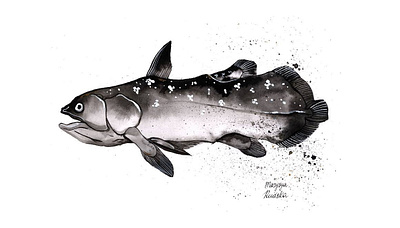 Latimeria fish illustration illustrator