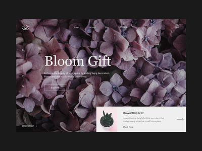 Landing page plant